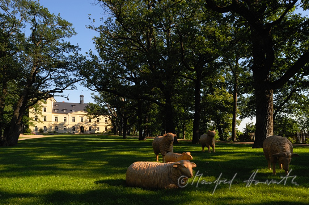 Chateau Mcely, view from the park