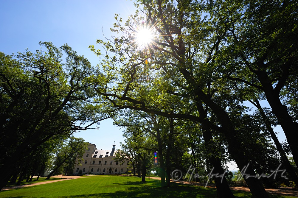 Chateau Mcely, view from the park