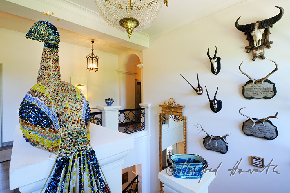 Chateau Mcely, foyer