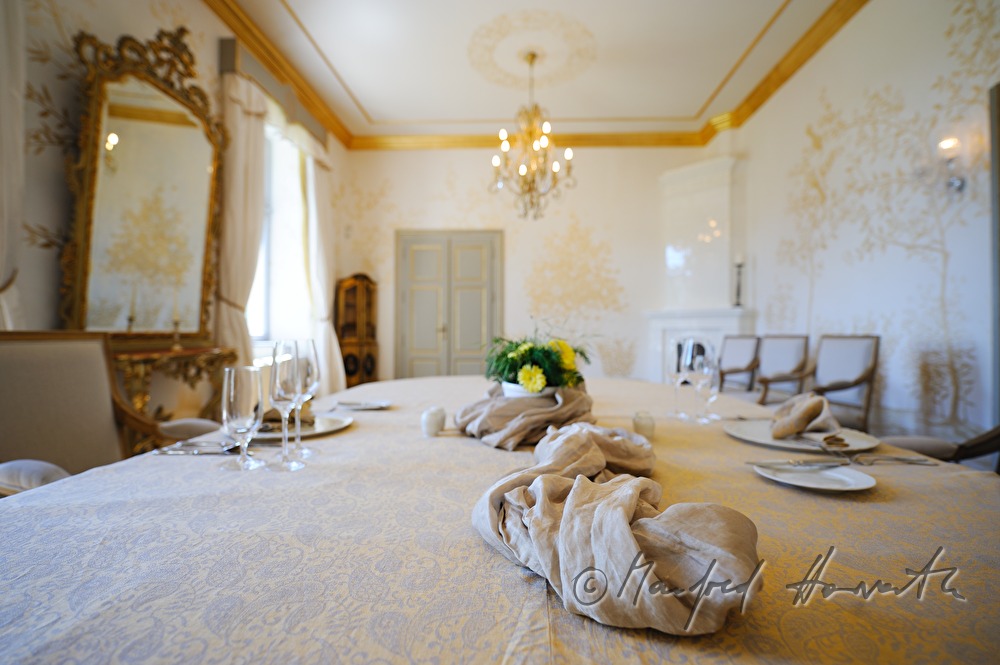 Chateau Mcely, dining room