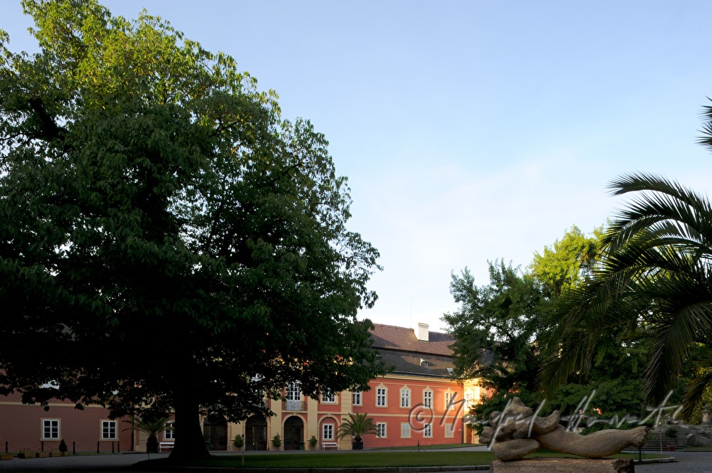 Schloss Dobris, inner courtyard