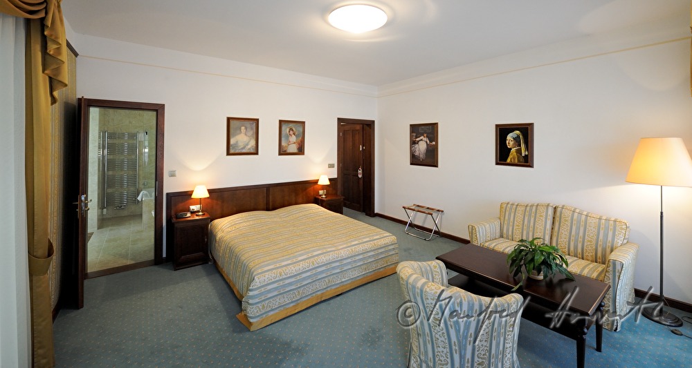 Schloss Dobris, hotel room