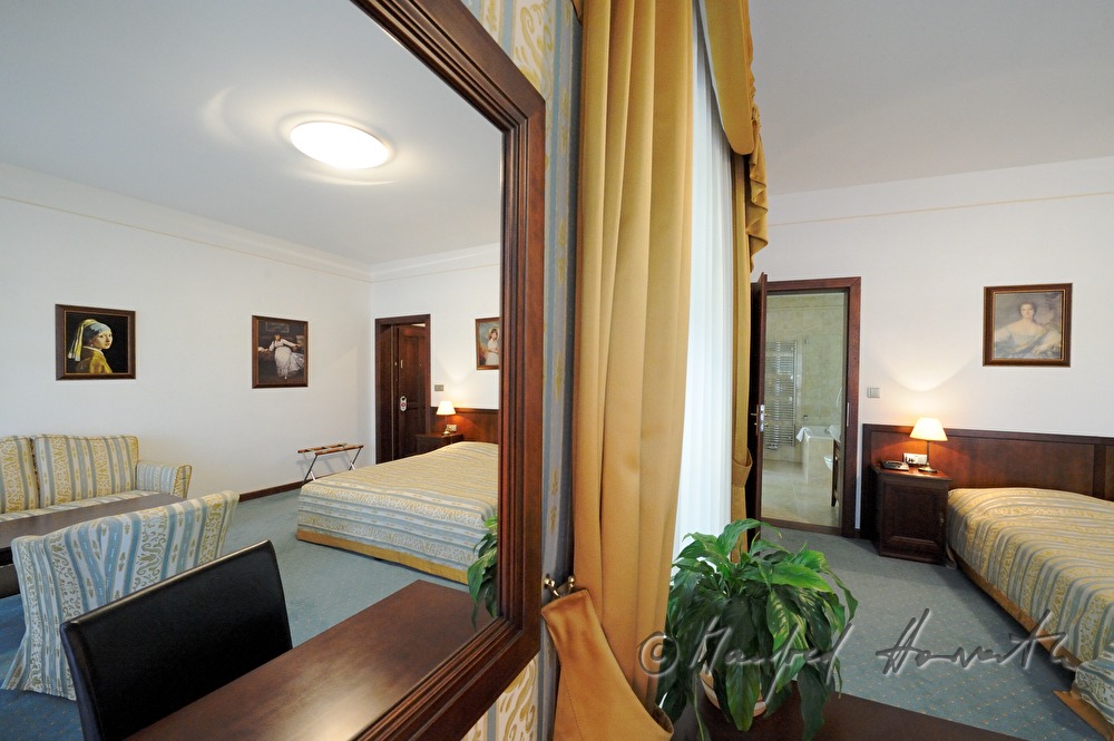 Schloss Dobris, hotel room