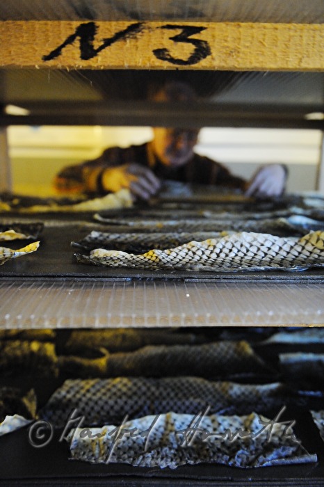 raw fish skin on a shelf for drying