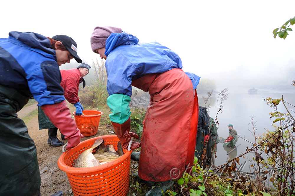 fishing for carp in the pond of Castle Kirchberg