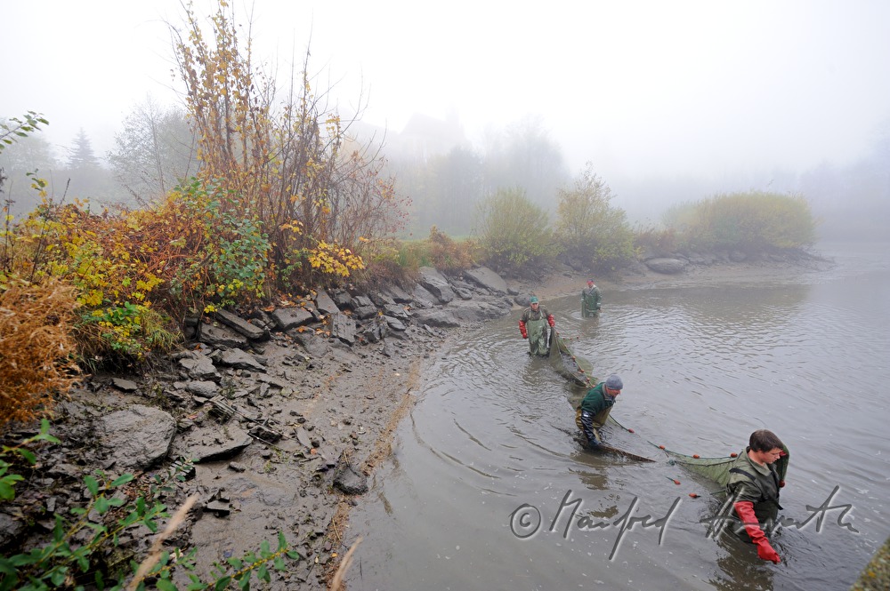 fishing for carp in the pond of Castle Kirchberg