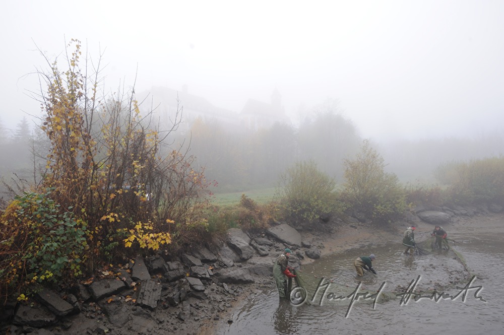 fishing for carp in the pond of Castle Kirchberg