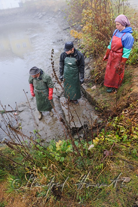 fishing for carp in the pond of Castle Kirchberg