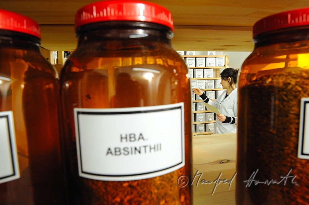 apothecary looks for ingredients in the store