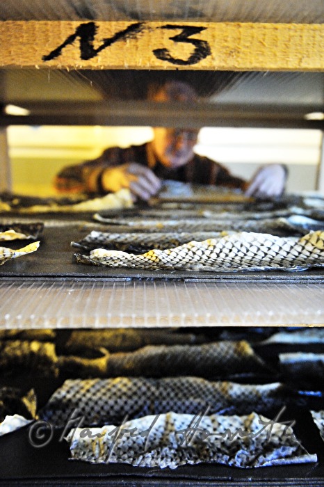 storing of fish leather in a shelf