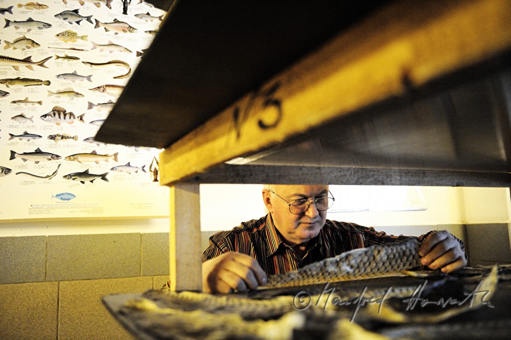 storing of fish leather in a shelf