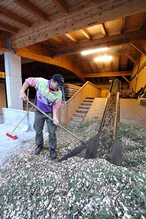 pine oil production Eschgfeller