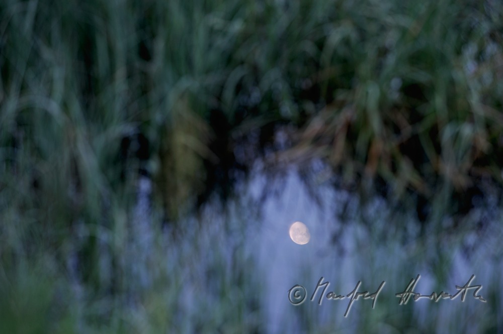 Durnholzer See (Lake Durnholz) and reflection of the moon