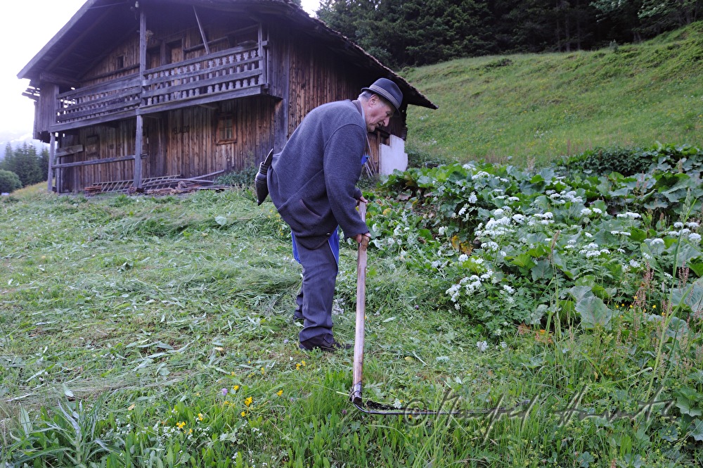 a farmer maws his meadow with a skythe