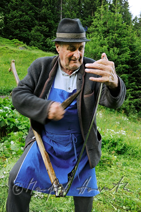 a farmer maws his meadow with a skythe
