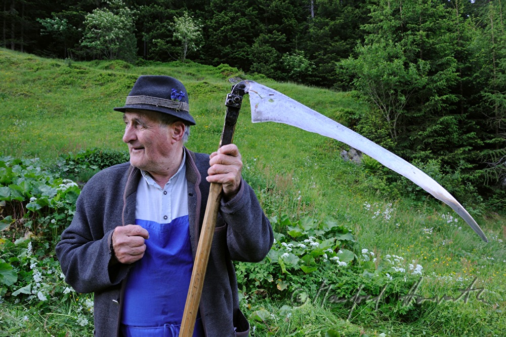a farmer maws his meadow with a skythe