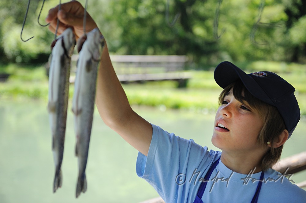 pisci culture, the fisherman and his trouts