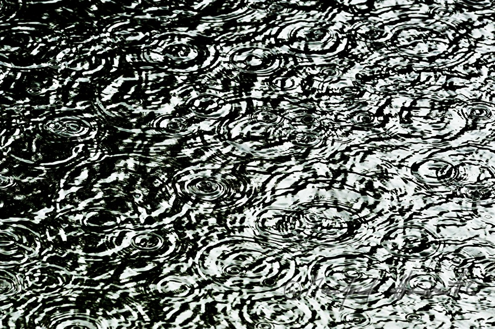 raindrops drumming on a pond