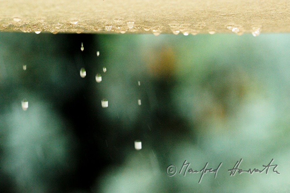 raindrops drumming on a pond