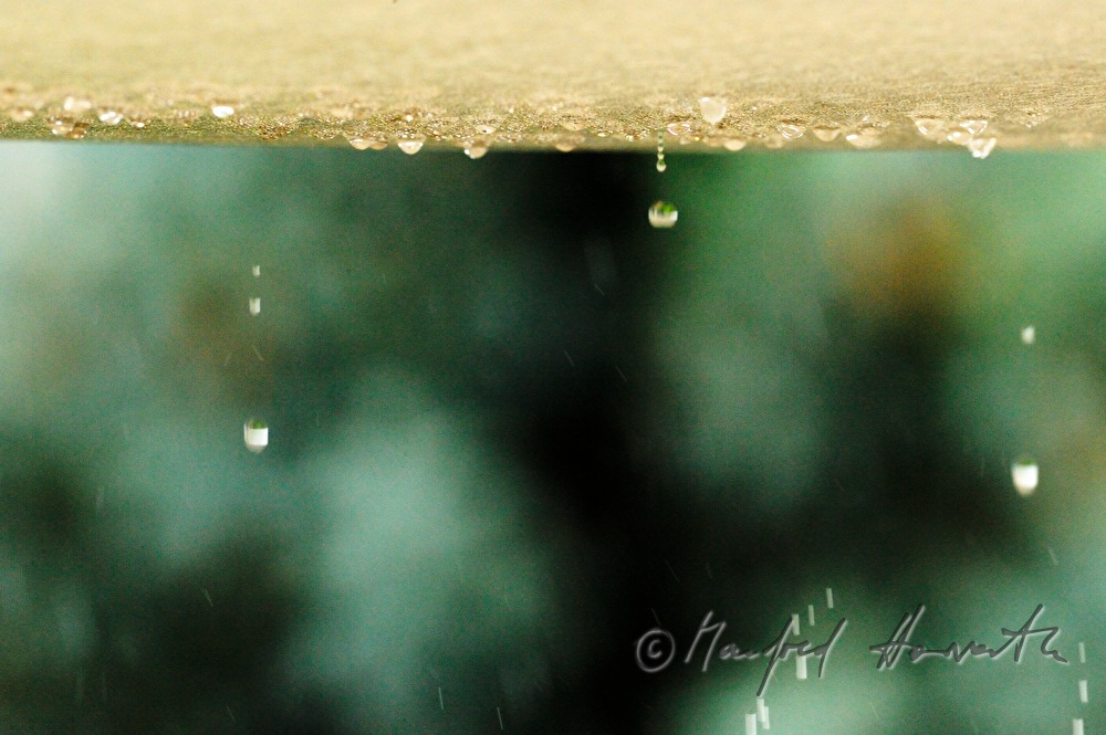 raindrops on the textile roof