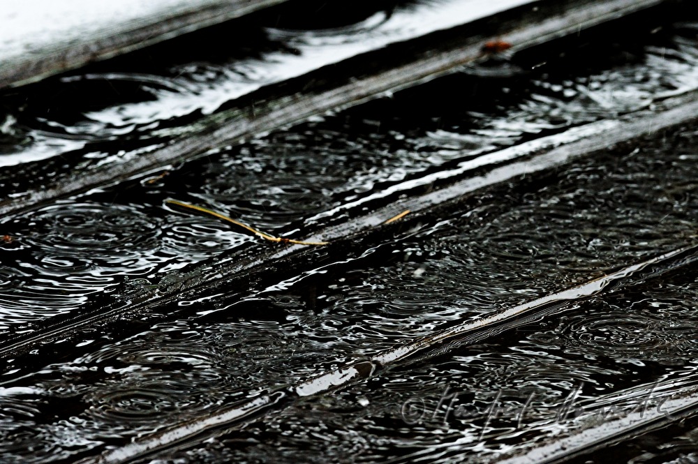 raindrops drumming on a pond