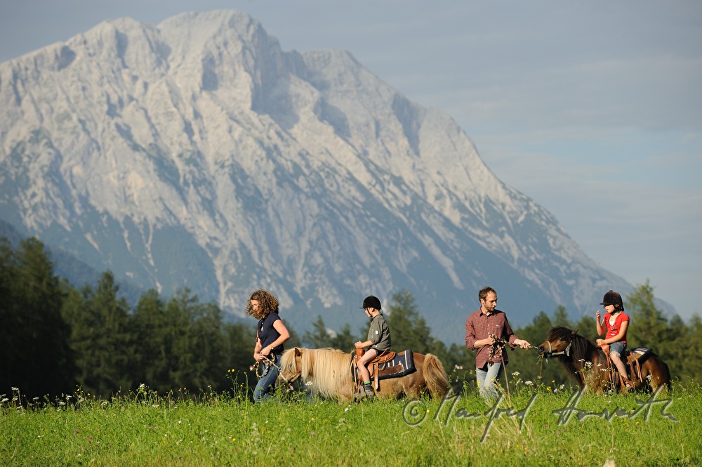 riders crossing a meadow