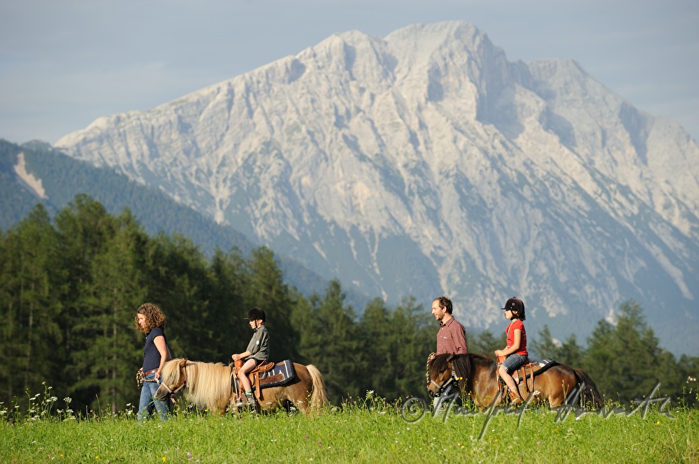riders crossing a meadow