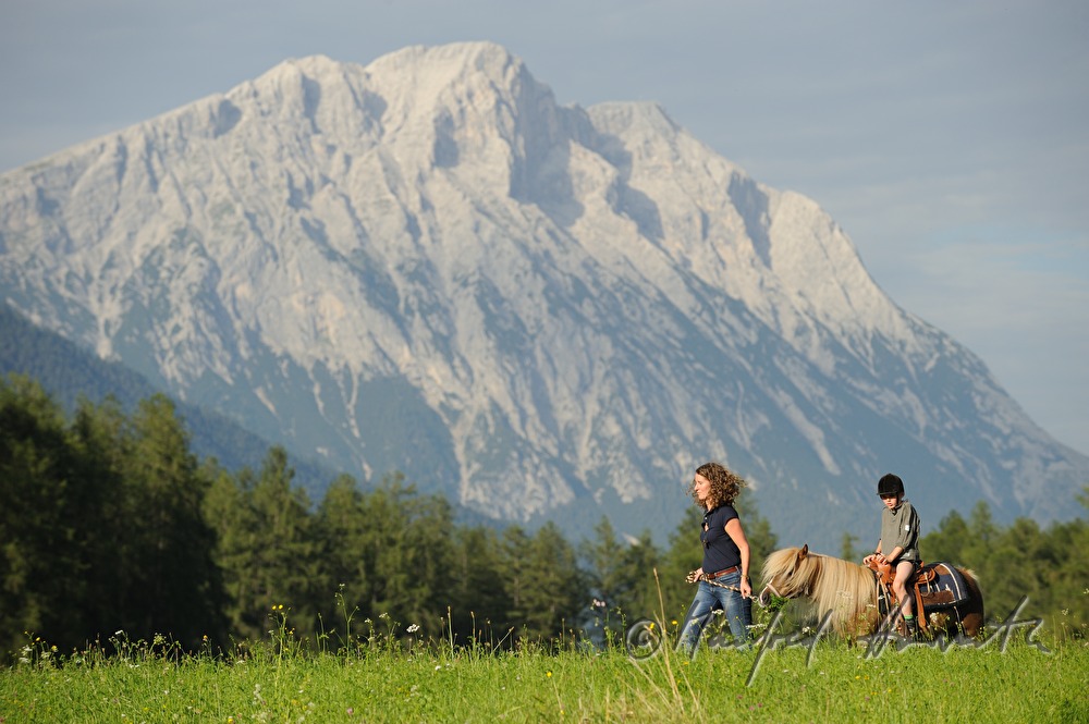 riders crossing a meadow