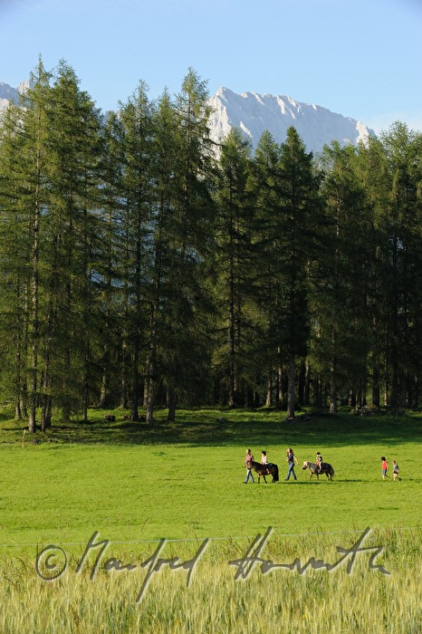 riders crossing a meadow