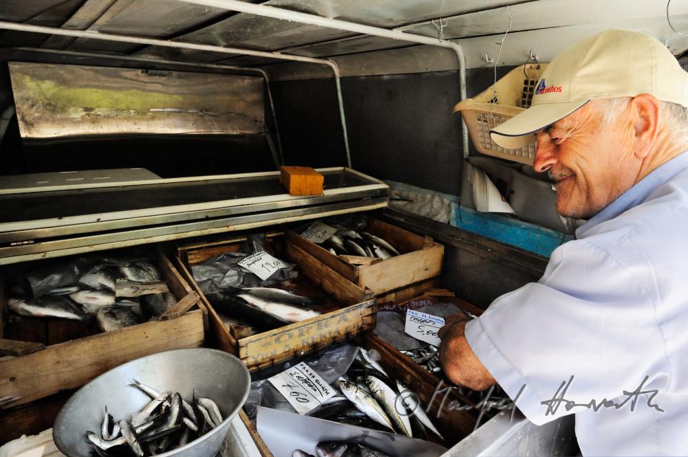 travelling fishmonger sells fish out of a pickup