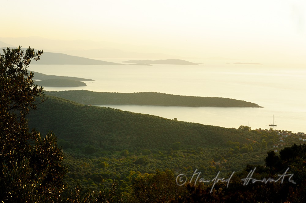 view from the outback to the harbour