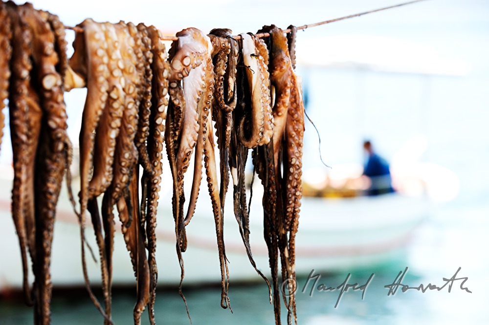 octopus hanging at a greek tavern