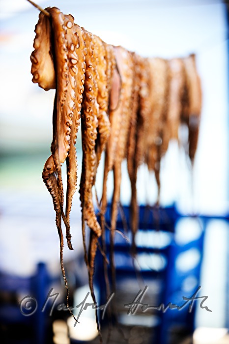 octopus hanging at a greek tavern