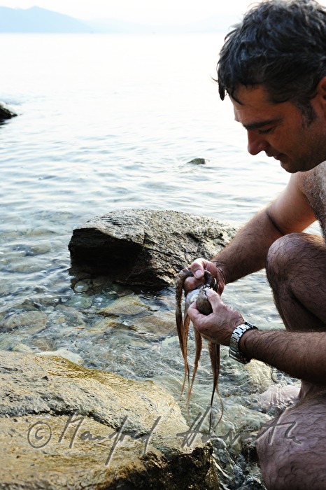 fisherman tumbling an octopus