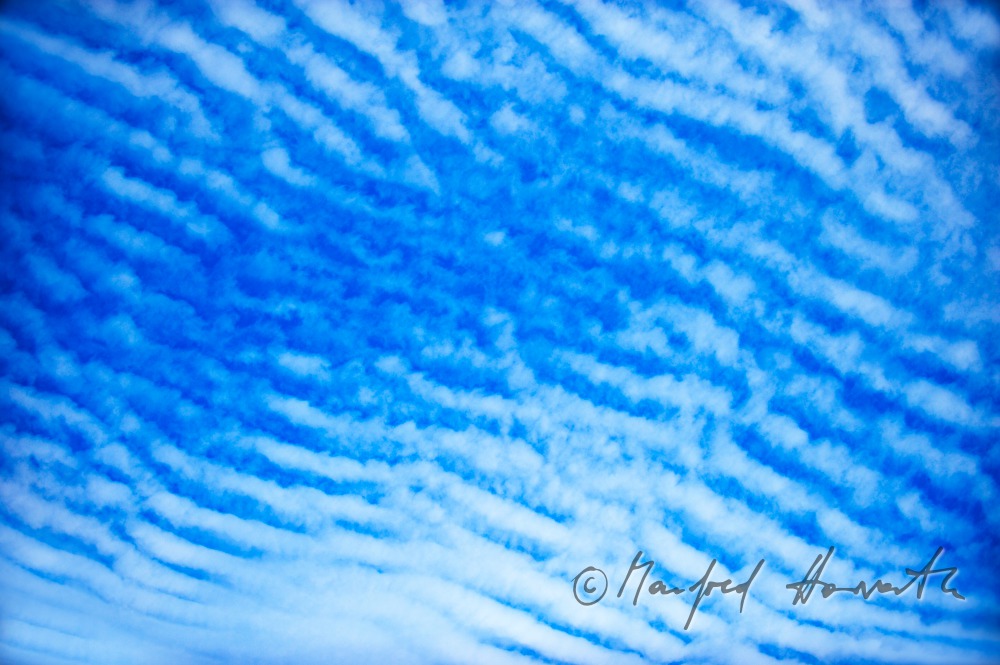 cotton-wool cloud (Cirrocumulus)