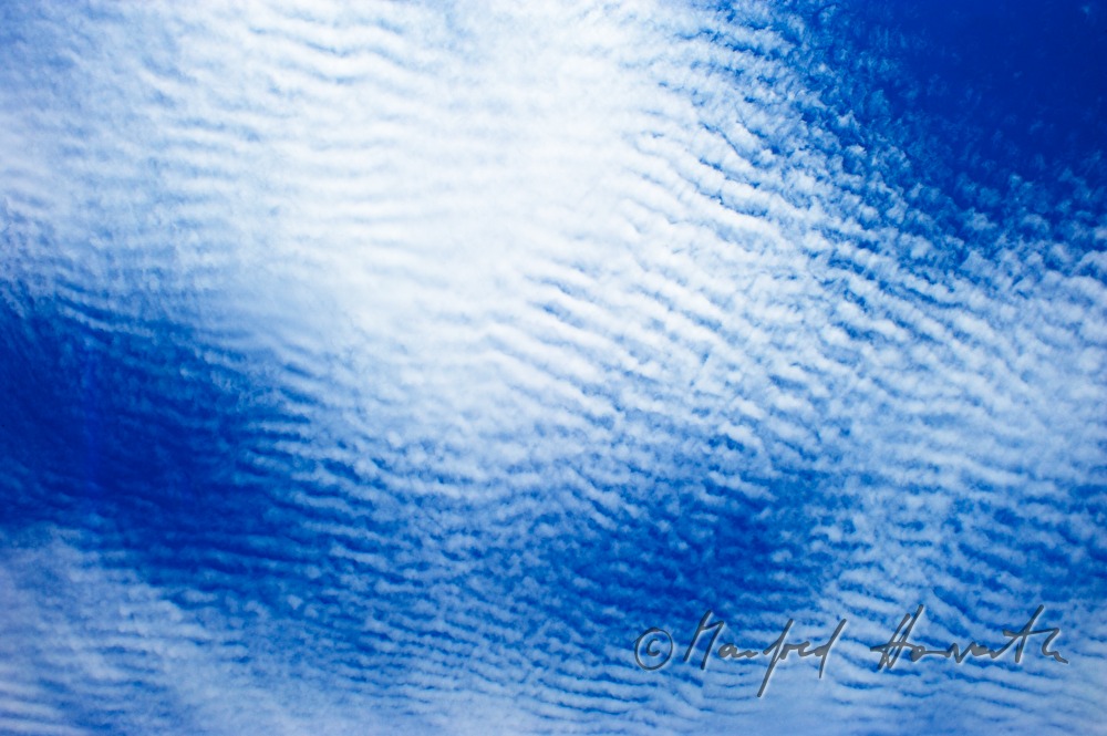 cotton-wool cloud (Cirrocumulus)