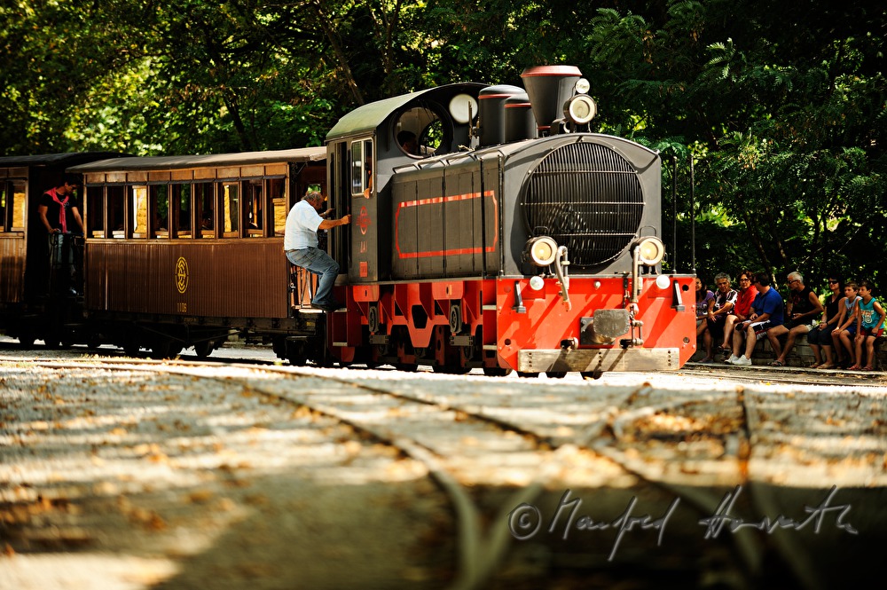 Pilion railway in the station with waiting passengers