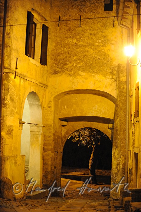 old city gate and tree