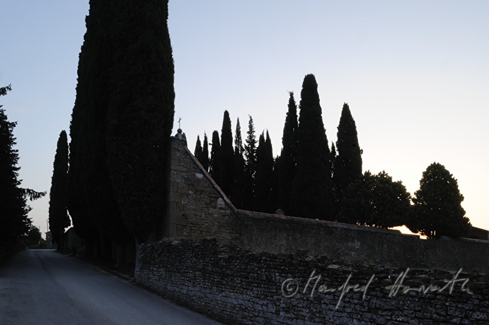 cemetery wall and cypresses