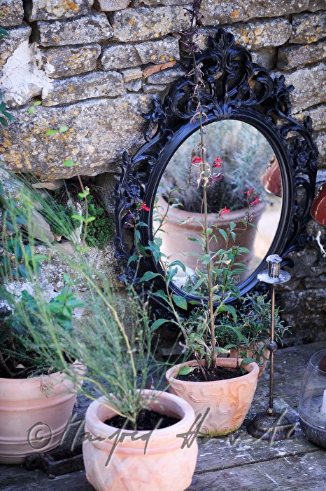 mirror and pot palants of an antique shop