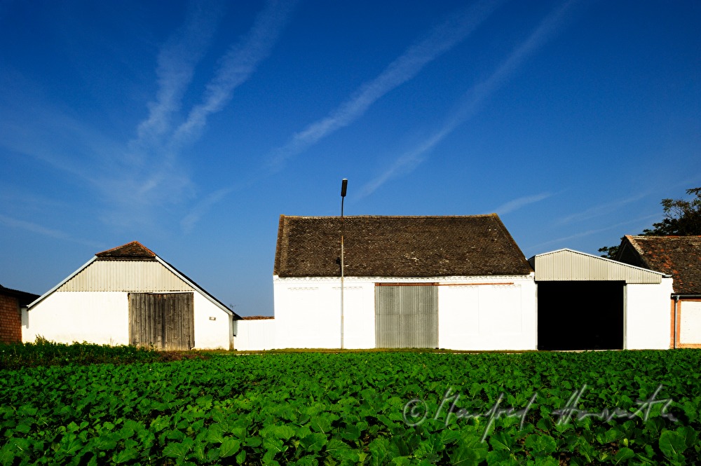 shacks for agricultural use