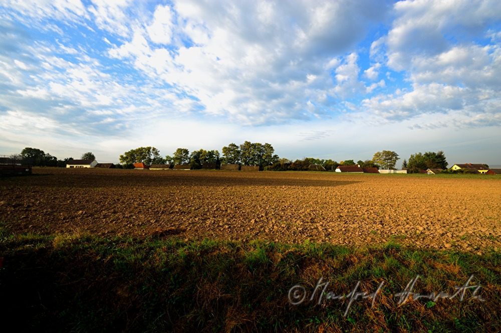 freshly furrowed field and wine cellars
