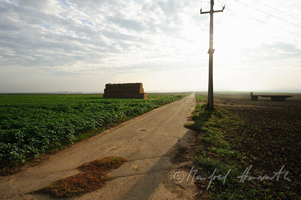 cart track and fields