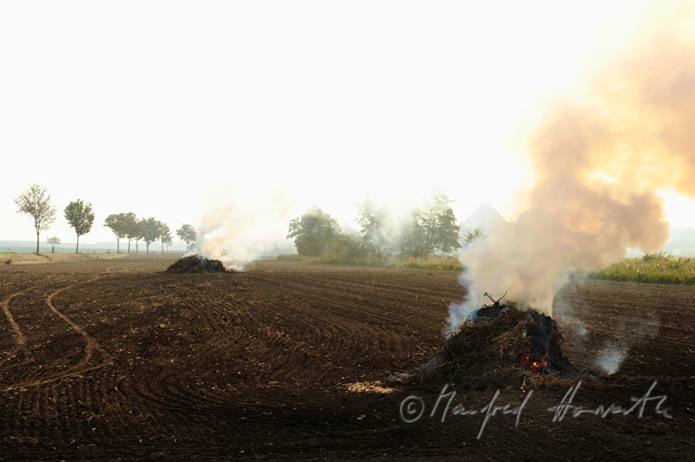 land clearance after the furrowing of the field