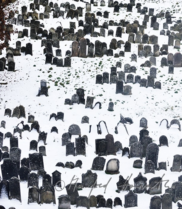 toppled gravestones at the jewish cemetery