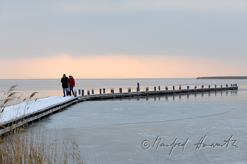 pontoon and reed belt at sunset