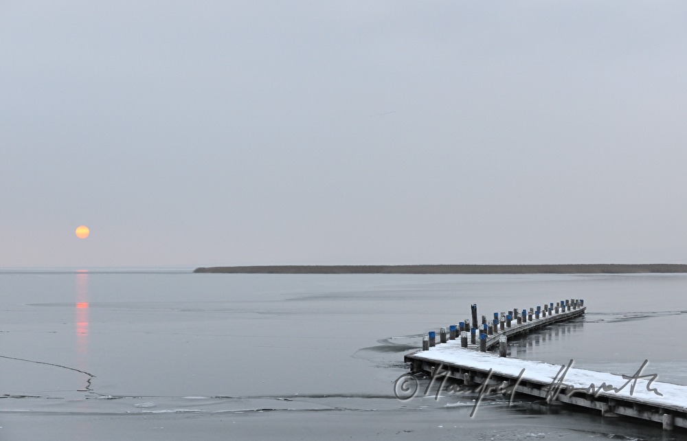 pontoon and reed belt at sunset