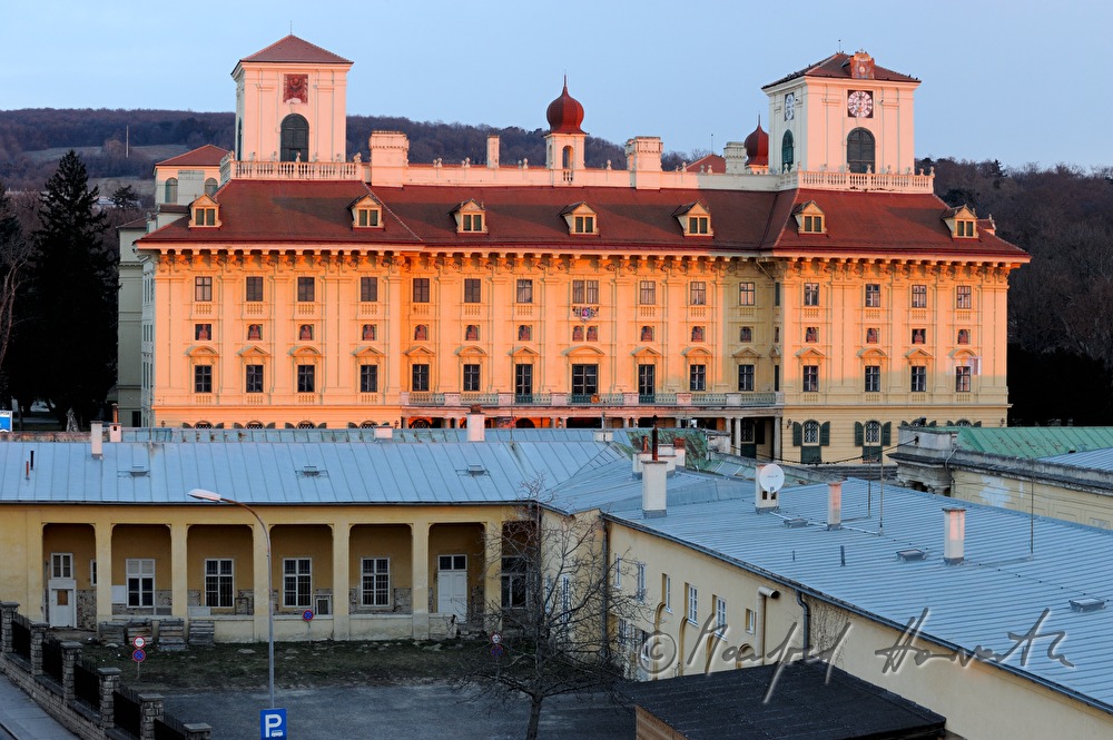 view with park in front of the castle