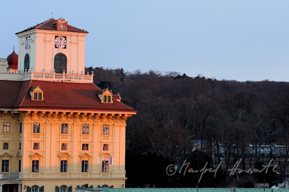 view with park in front of the castle