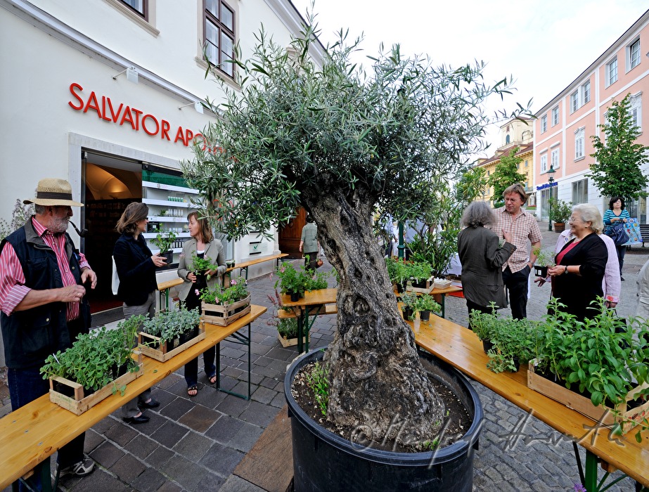 herbal market in front of the pharmacy